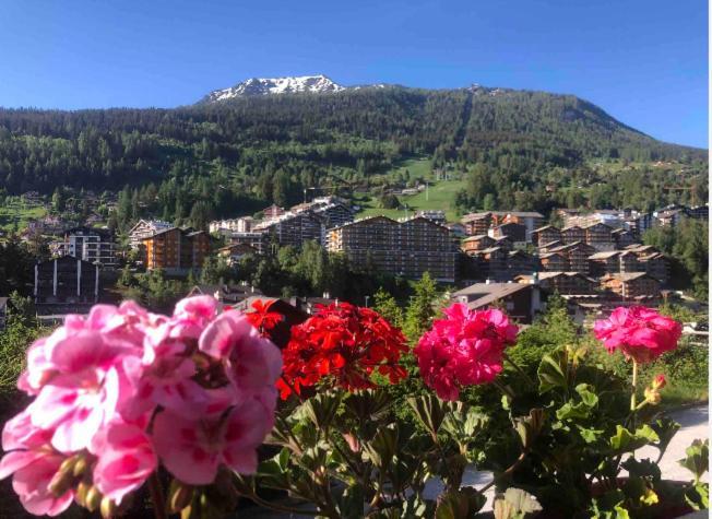 Sunny Swiss Mountain Studio In Centre By Jolidi Нанда Екстер'єр фото